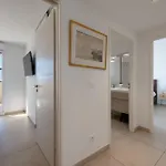 3-br Rooftop With Jacuzzi & Parking Cannes
