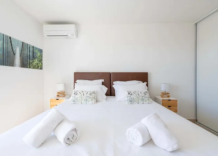 3-br Rooftop With Jacuzzi & Parking Cannes